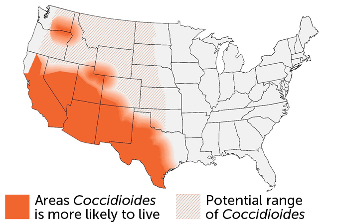 A map of the United States shows where Coccidioides fungi are commonly found. The area where mushrooms are most likely to live extends from the Texas Gulf Coast through New Mexico, Arizona, Nevada and California. Also included are parts of Utah and Colorado, as well as a small point where Washington, Oregon, and Idaho meet. The area where the fungus could live extends south from the northern border of the US and goes as far east as central North Dakota to Oklahoma.